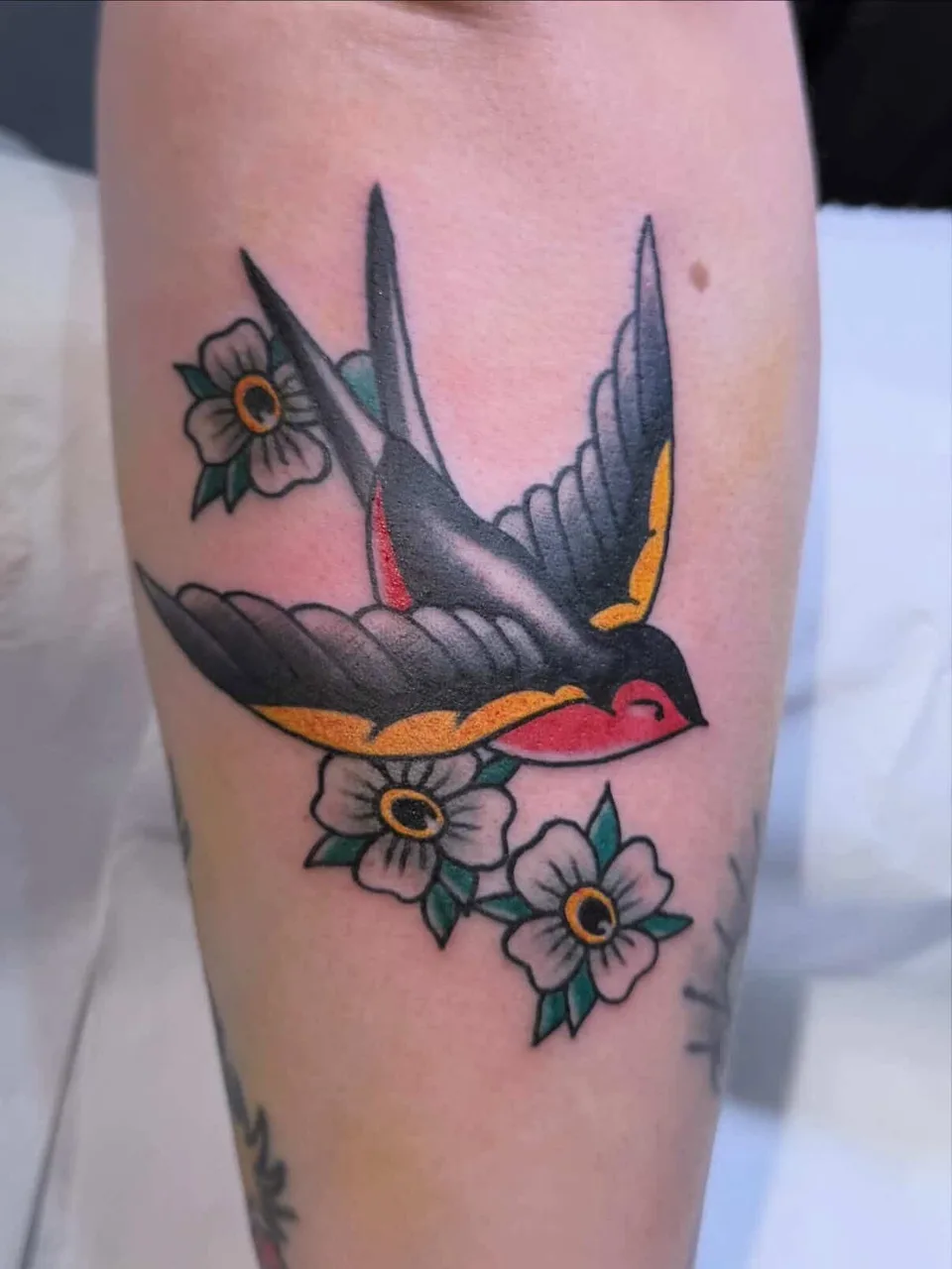 A traditional swallow